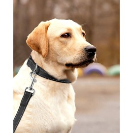 FunTags Reflective Nylon Dog Collar,Adjustable Pet Collars with Quick Release Buckle for Puppy Small Medium Large Dogs,18 Classic Solid Colors,4 Sizes