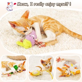 ORSDA Cat Toys, Cat Wand Toy for Indoor Cats, Interative Cat Toy to Chase & Exercise, Teaser Bird Toy for Cats with 5 Replacement Kitten Toys for All Breeds