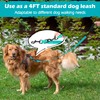 PetBonus Two Point Control Dog Leash, Works with No Pull