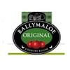 Ballymaloe Country Relish Squeezy 350g ( Pack of 2)