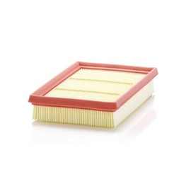 MANN-FILTER C 24 076 Air Filter for Cars and Vans