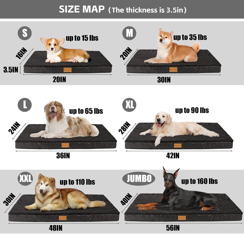Patas Lague Orthopedic XXL Dog Bed for Extra Large Dogs