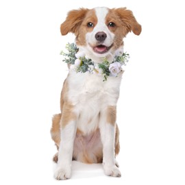 Honoson Dog Wedding Flower Collar Dog Wedding Outfit Puppy Floral Attire Collars Flowers Wreath Photo Prop Accessories for Female Male Puppy Cats Pet(Small)