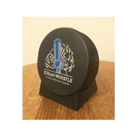 ulovemydeals Angled Hockey Puck Desk / Shelf Holder Display Stand For Regulation Pucks