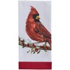 Park Designs Cardinal with Berries Dishtowel Set of 2, Red