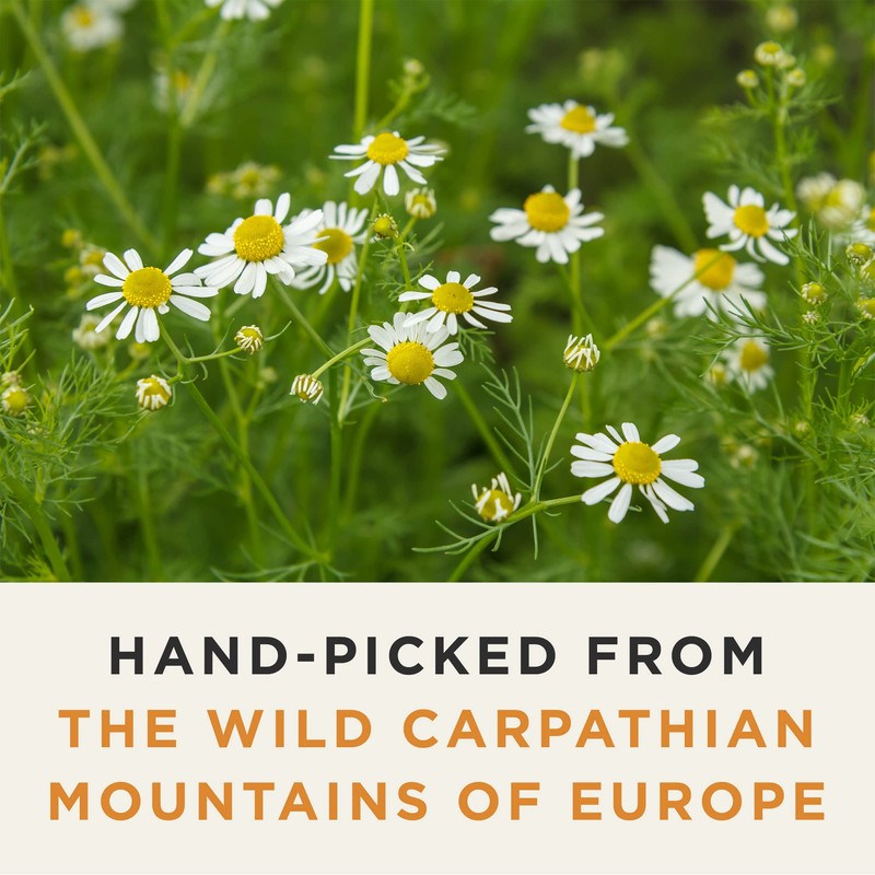 Wild Bliss Organic Chamomile Tea - Caffeine Free Calming Herbal