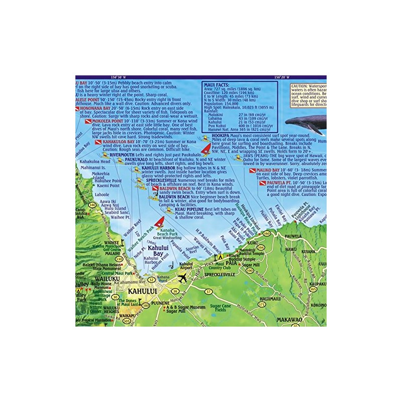 Maui Hawaii Dive & Snorkeling Guide Map Laminated Poster by