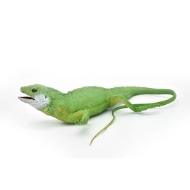 Dillon Iguana, Museum Quality Plastic Replica  22"  ~  F7059-B236