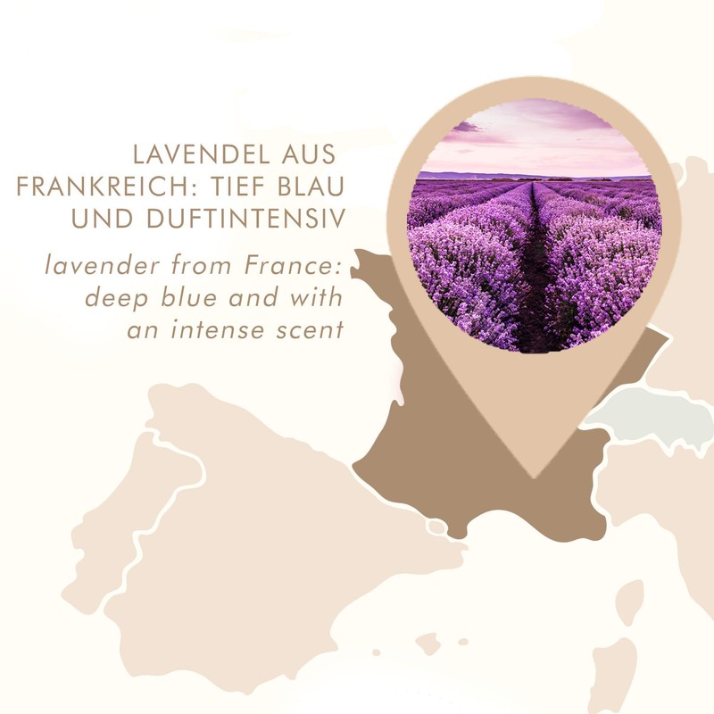 10 x Bags of Lavender Filled With Real French Lavender