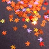 Maple Leaf Nail Glitter Sequins 3D 6 Grids Fall Holographic