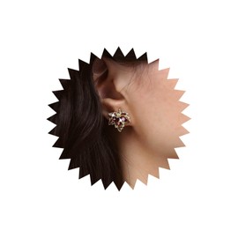 Inateannal Vintage Ruby Maple Leaf Earrings Crystal Maple Leaf Earrings Red Autumn Leaf Stud Earrings Zirconia Maple Leaf Earrings Gold Leaf Stud Earrings Jewellery for Women and Girls, Zinc, No