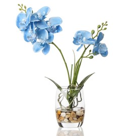 Jusdreen Artificial Flower Bonsai with Vase Vivid Orchid Flower Arrangement Phalaenopsis Flowers Pot for Home Office Décor Table Centerpiece House Decorations - Color: Glass-Blue