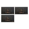 EconGye 이경제 흑염소진액 眞(진) 70ml x 30개입 3박스 - BNS Ikyeongje Black Goat Extract True (Jin) 70ml x 30 Pieces 3 Boxes - BNS