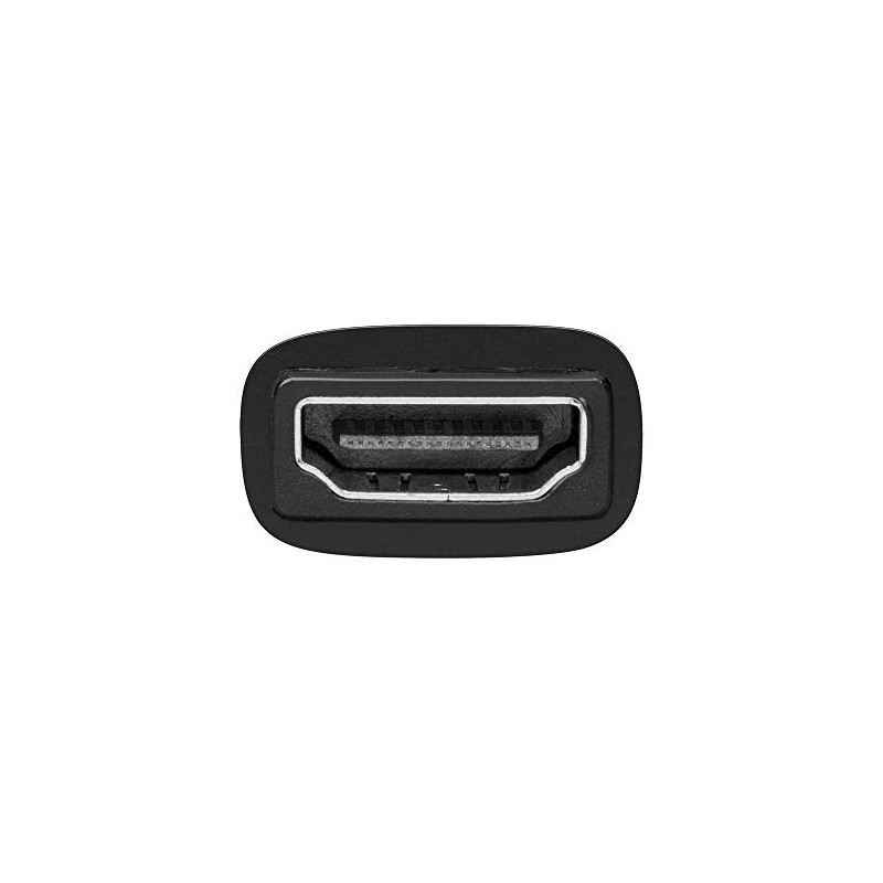 Wentronic 68482-GB 19 Pin HDMI Jack to DVI-D (24+1) Plug