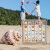 Acrylic Seashell Display Box 36 Grids Magnetic Seashell Display Box