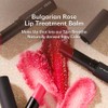 isoi Lip Treatment Balm (# pure red)