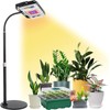 LED Plant Fill Light with Base Full Spectrum Plant Grow