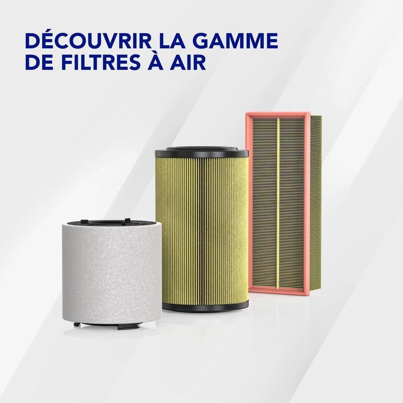 Ufi Filters 30.163.00 Car Air Filter