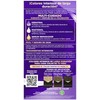Palette ICC, Tono 1-0 Negro Tinte Permanente Cobertura de Canas,