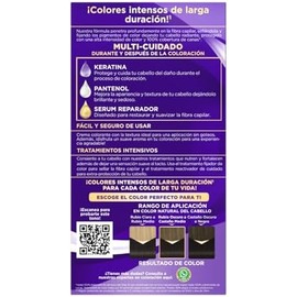 Palette ICC, Tono 1-0 Negro Tinte Permanente Cobertura de Canas, 2 Kits