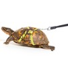 OOXYG Retractable Turtle Leash with Handle, Tortoise Leash and Harness