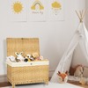 Honjourai Wicker Storage Basket with Lid,Rattan Shelf Basket with Removable