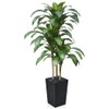 VeriNatural Artificial Dracaena Tree 5FT - Fake Tree with Black