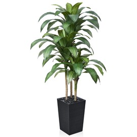 VeriNatural Artificial Dracaena Tree 5FT - Fake Tree with Black Taper Planter & Pebbles - UV Resistant Faux Yucca Tropical Plant - Artificial Trees for Home Office Living Room Decor Indoor Outdoor