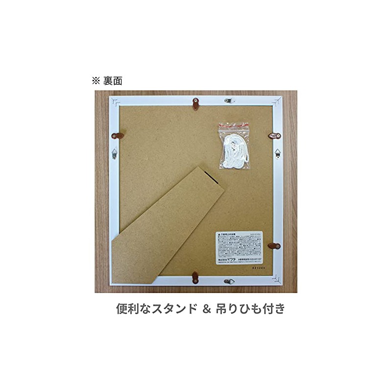 Iwata Picture Frame, Color Paper Frame, Resin, White, 8 inches