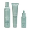 Aveda Scalp Solutions Trio Bundle