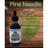Ganesha Herbs Pine Needle Liquid Tincture Herbal Liquid Dual Extract