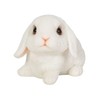 Uvia Sitting American Fuzzy Lop White Light 4.2 x 3.0