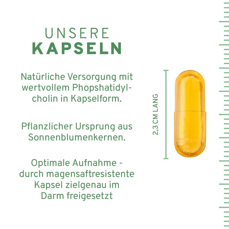 InnoNature Phosphatidylcholine Capsules | Derived from Sunflower Lecithin, 114 mg