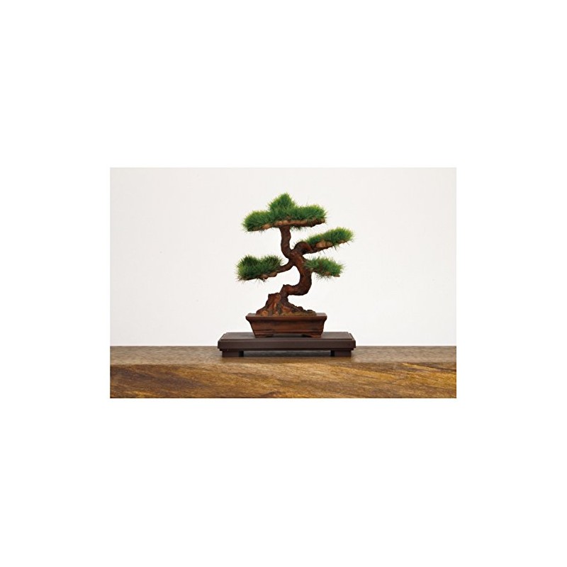 プラッツ 1/12 ザ・盆栽 肆 プラモデル BON-04