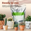 Succulent Cactus Potting Soil Mix (4 qt), All-Purpose Garden Soil
