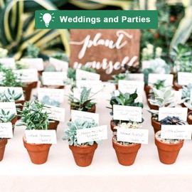 vensovo 48 Pcs Tiny Terracotta Pots - 2 inch Small Mini Clay Pots with Drainage Holes Flower Nursery Terra Cotta Pots for Indoor/Outdoor Succulent Plants, Crafts, Wedding Favor