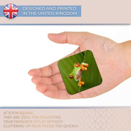 Destination Vinyl ltd Fridge Magnet - Green Frog Nature Frogs 3682