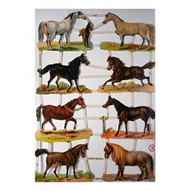 Glanzbilder EF 7263 Horse Yorkshire Pillion Trotter Horse Pose Picture Decoration 815