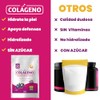 Colágeno Hidrolizado Sin Azúcar + Isomaltulosa + Vitamina C
