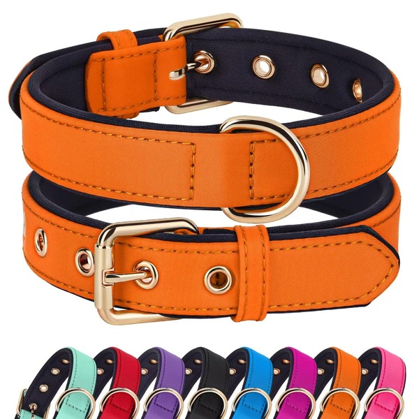 Didog Dog Collar with Soft Padding, Strong Dog Collars with