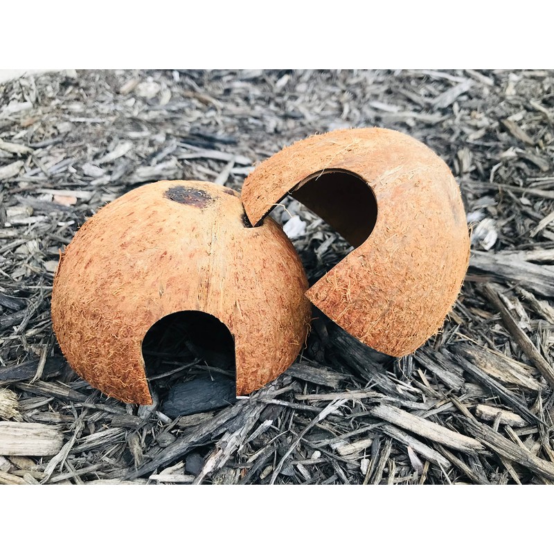 Hexagrowth Coco Hut, Betta Fish cave, Shrimp Hideout, Pleco shelter,