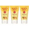 Burt's Bees Peach and Willow Bark exfoliante facial exfoliante, 4