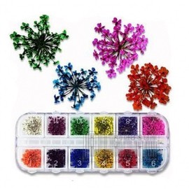 MEILINDS Natural Real Dried Flower Case Nail Art Tips Sticker Decals DIY Design Decoration 12 Colors