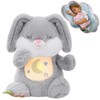 seOSTO Soothing Bunny, Breathing Bunny, Sleeping Otter Plush with Breathing