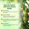Outsidepride Annual Fava Beans Seeds - 1 lb. High-Protein Forage