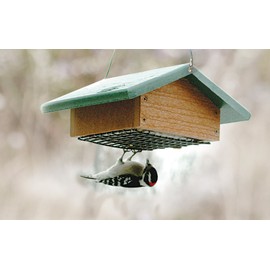 Audubon Going Green Suet Bottom Feed Style Feeder Model NAGGSBF