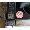 Stare Jack Russell Terrier Broken/Rough Dog Sticker Pink Back Round
