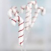 Factory Direct Craft Set of 36 Red and White Sparkling