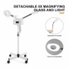 Artist Hand 2IN1 Hot Facial Steamer 5X LED Magnifying Lamp