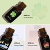 Good Luck, Open Road & Dream Job Oils | 3